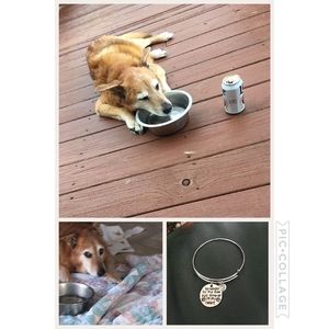 Meet your Posher, Kristin